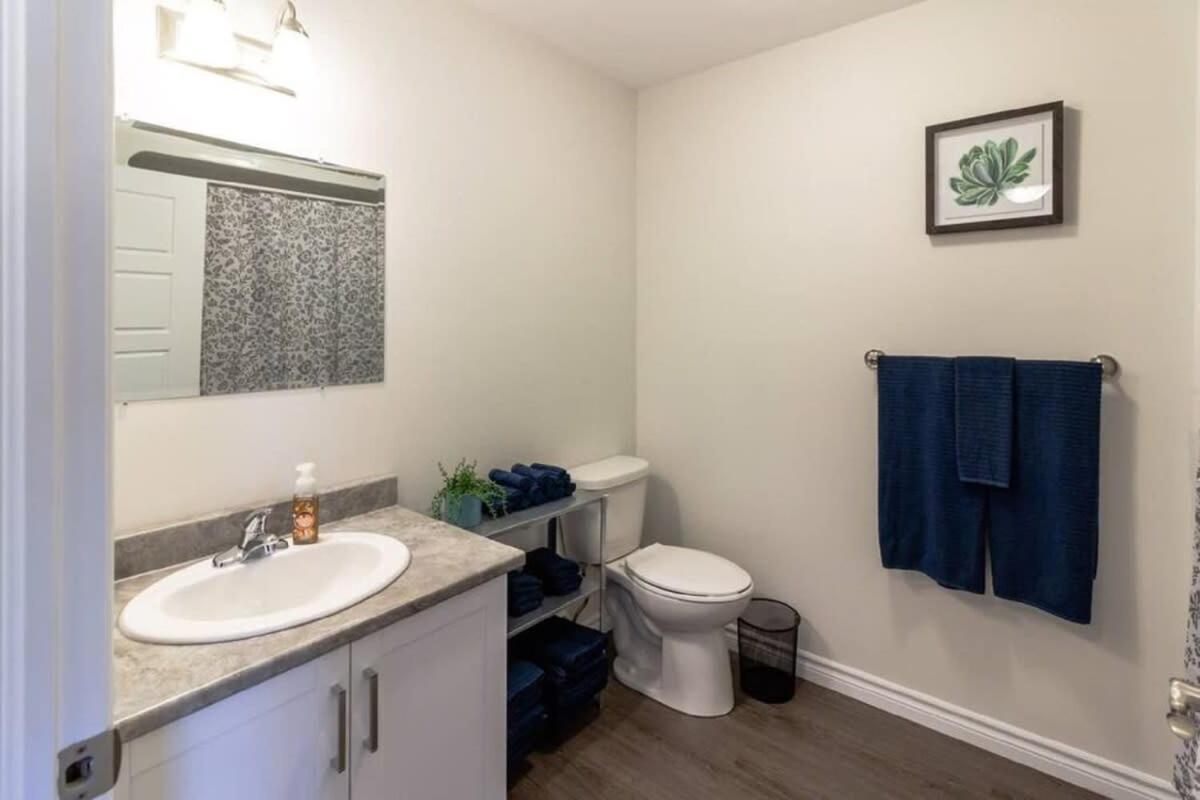 Newly Renovated Modern Condo Near Hospital, Unb Patio & Parking Coffee Saint John Kültér fotó